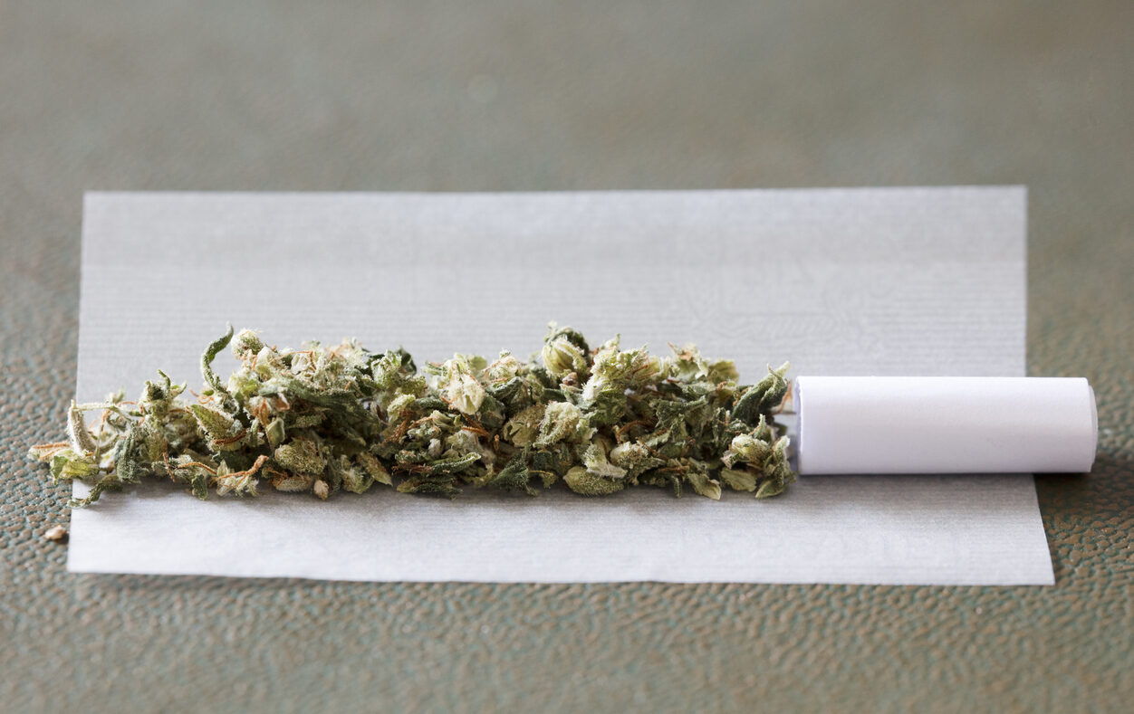 Hasj en wiet: wat je moet weten - DRUGSinfo