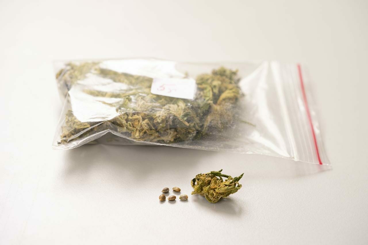 www.drugsinfo.nl